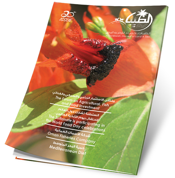 غلاف العدد 20